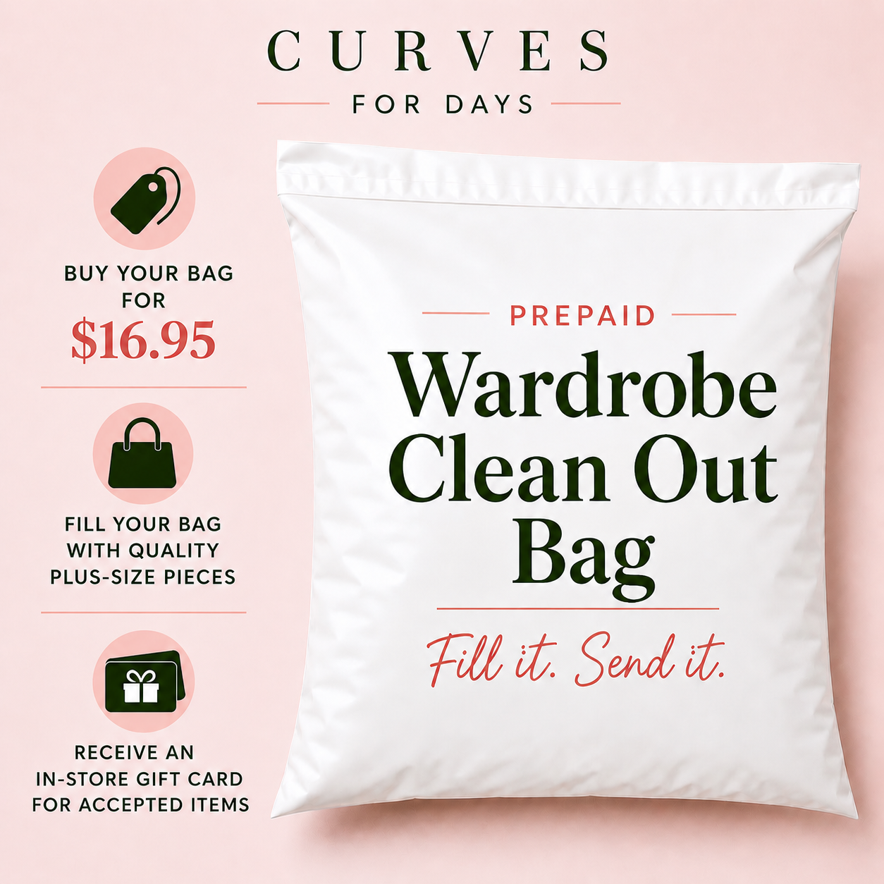 Wardrobe Clean-Out Bag