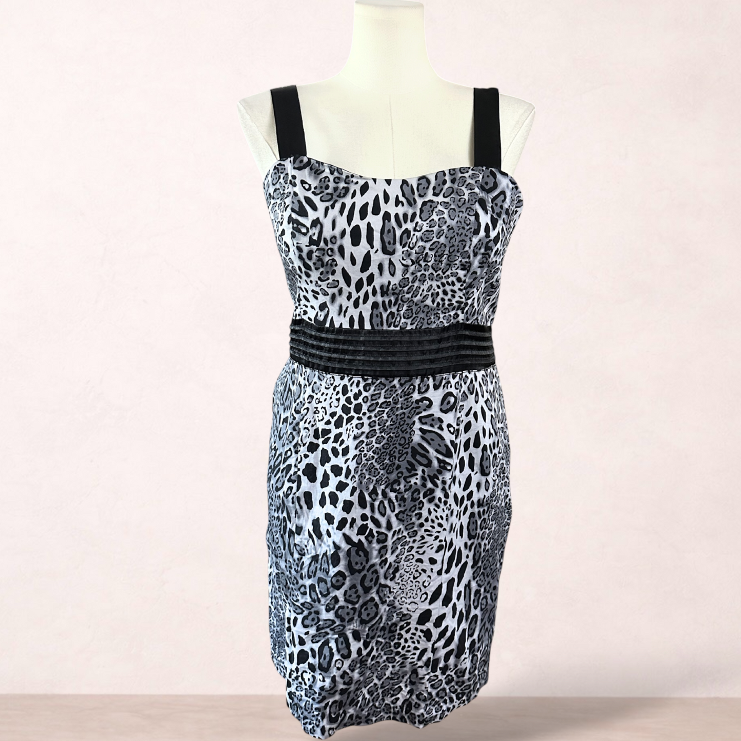 Joanna Morgan Animal Print Dress | Size 16