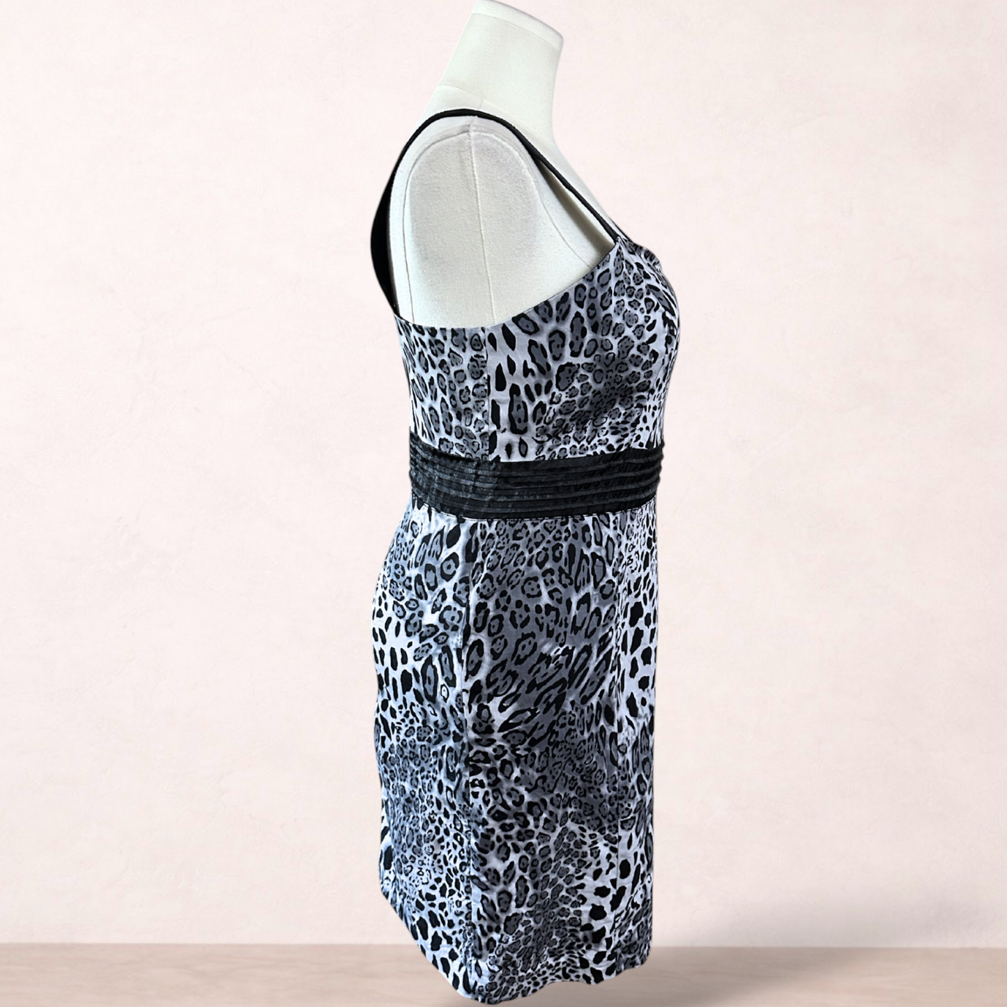 Joanna Morgan Animal Print Dress | Size 16