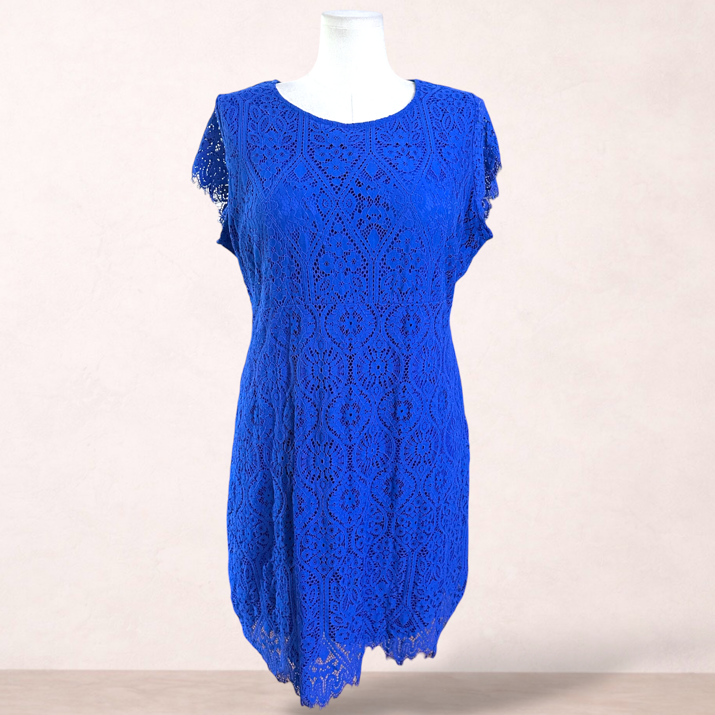 Miller Blue Lace Dress | Size 22