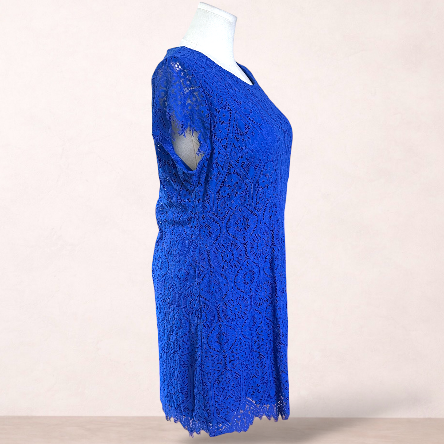 Miller Blue Lace Dress | Size 22