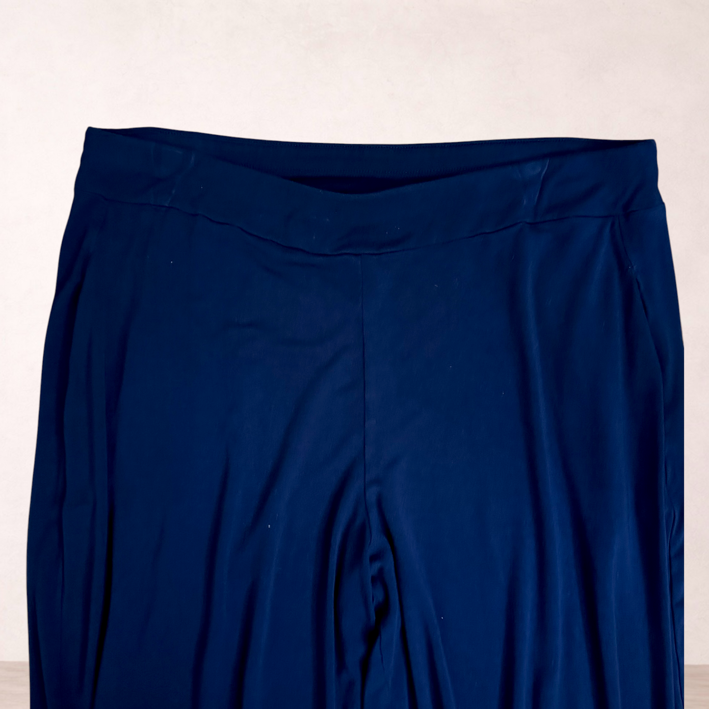 Taking Shape Navy Blue Bamboo Blend Pants | Plus Size 16