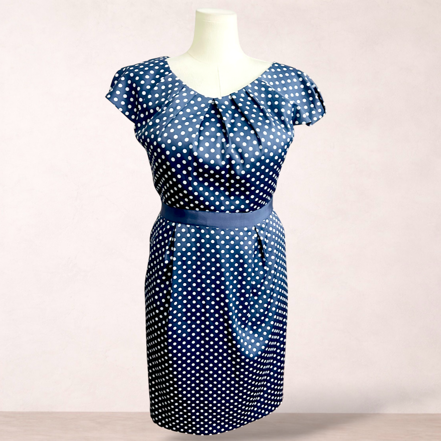Liz Jordan Slate Blue Polka Dot Dress | Size 14