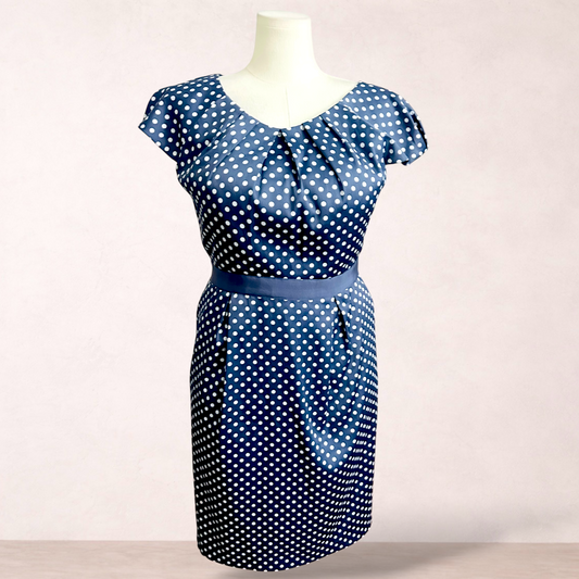 Liz Jordan Slate Blue Polka Dot Dress | Size 14