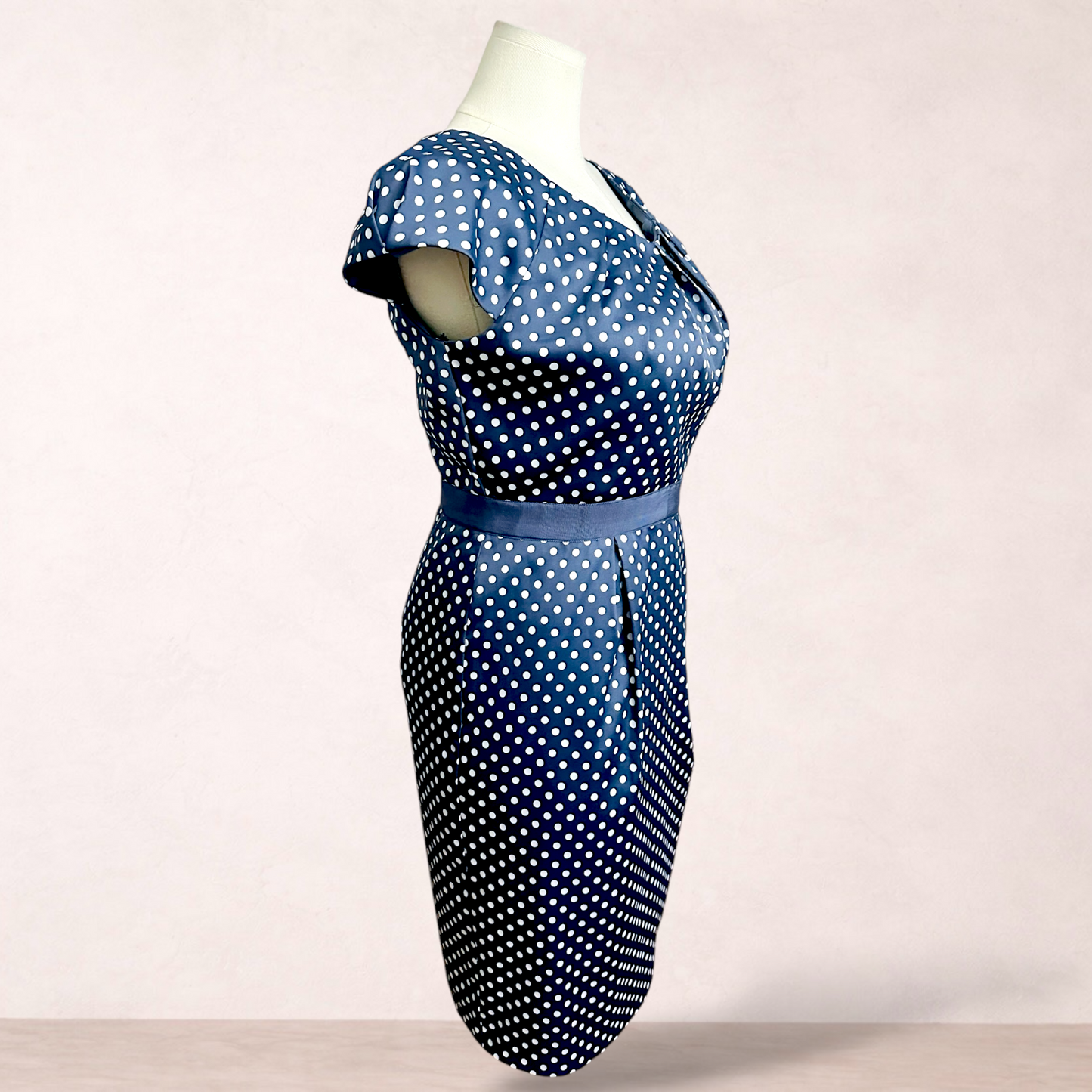 Liz Jordan Slate Blue Polka Dot Dress | Size 14