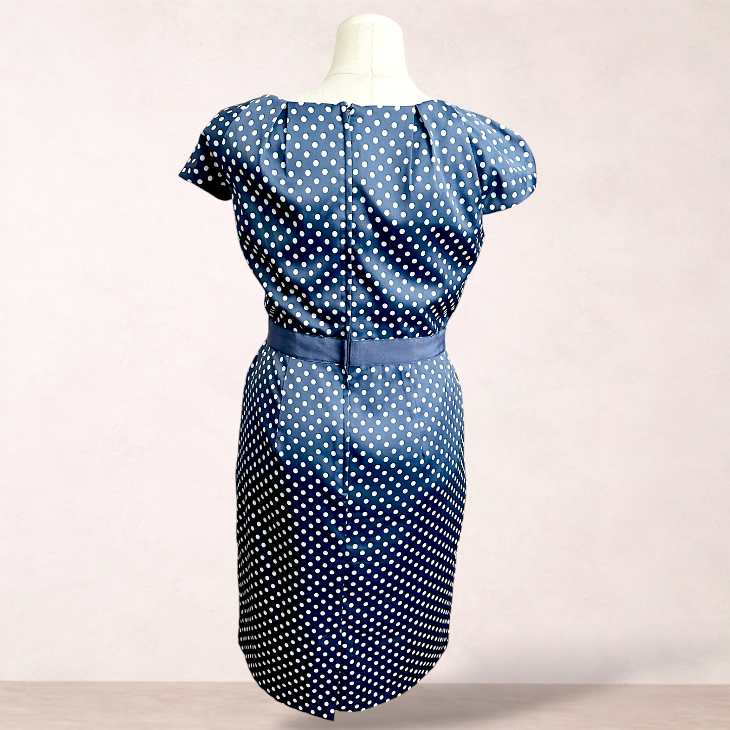 Liz Jordan Slate Blue Polka Dot Dress | Size 14