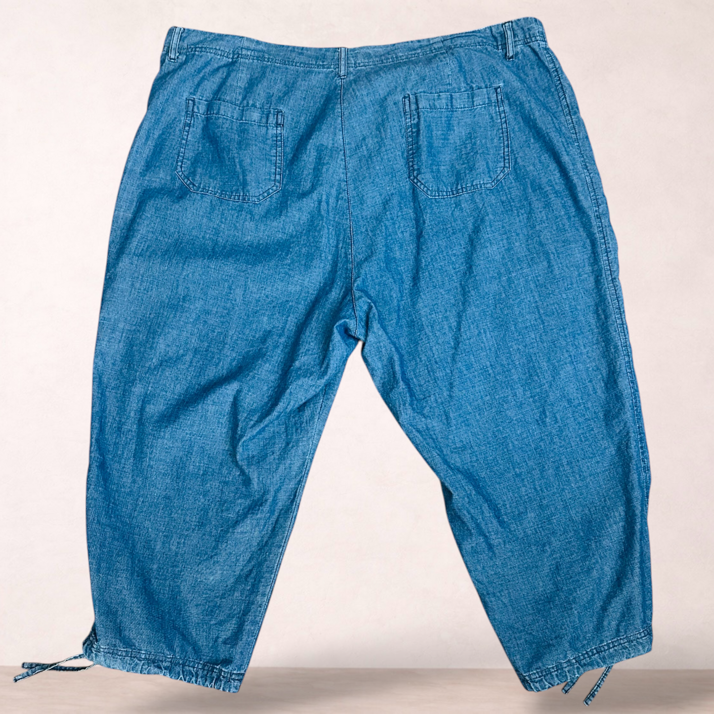 Lilly & Lou Blue Capri Pants | Plus Size 20